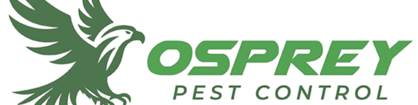 Untitled design (10)